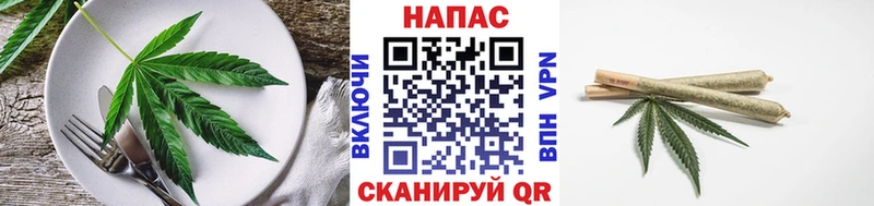 где можно купить наркотик  Ардон  Печенье с ТГК конопля 