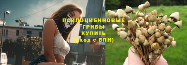 тгк Алзамай