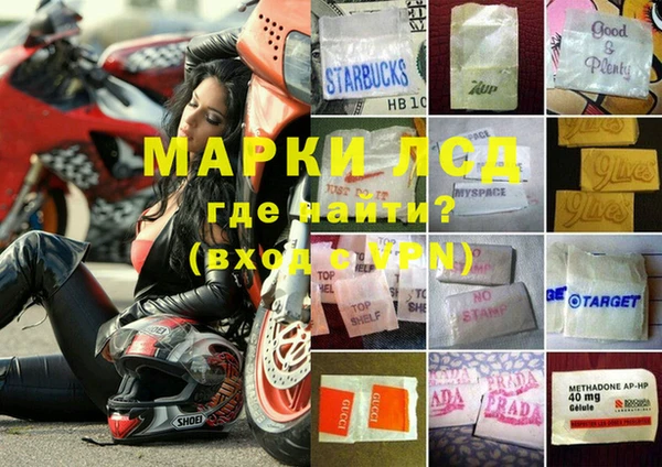 гидра Алексин
