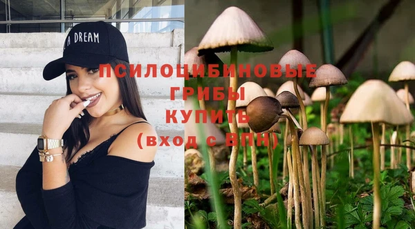 гидра Алексин