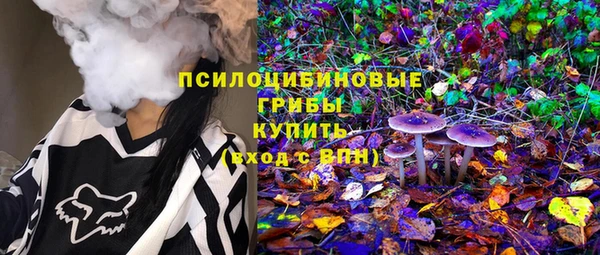 гидра Алексин